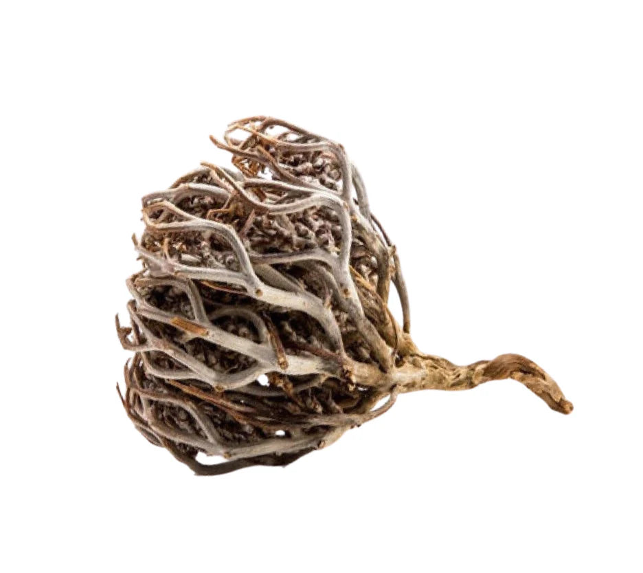 Pack Fertilité